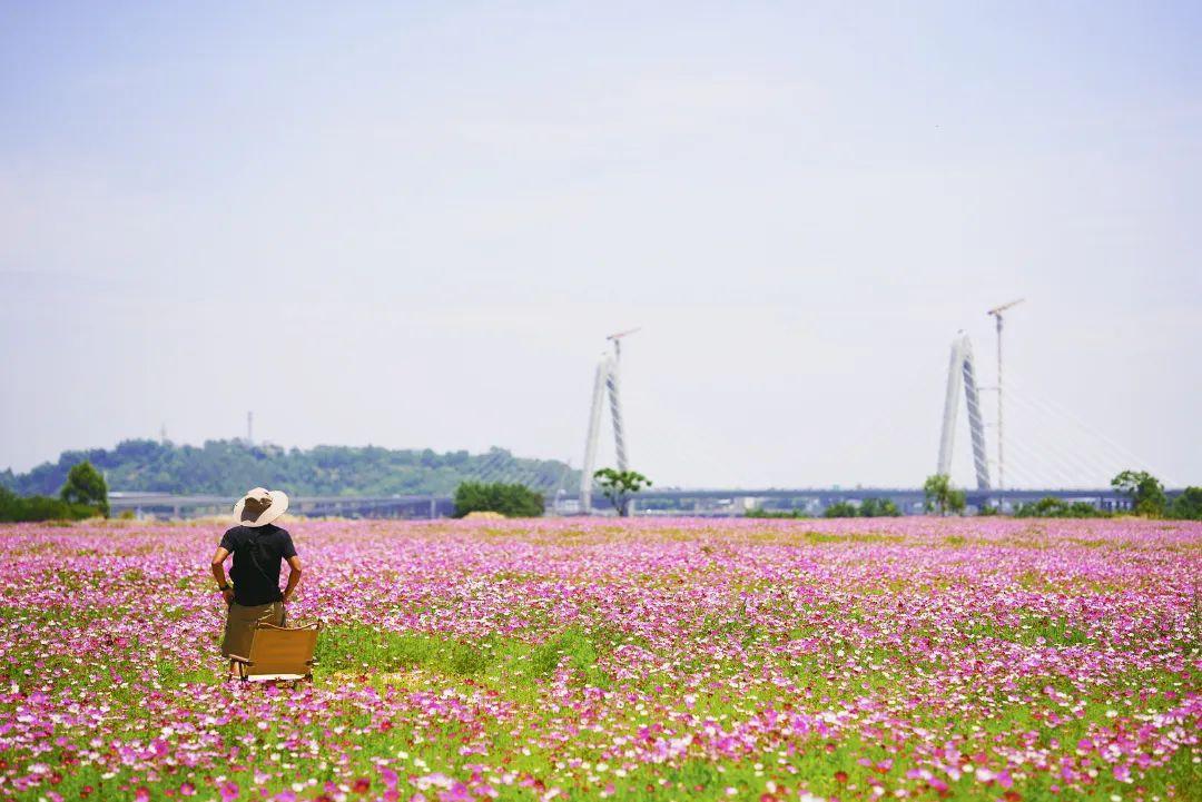 陳小北聚焦科技前沿，引領(lǐng)創(chuàng)新潮流新動(dòng)態(tài)