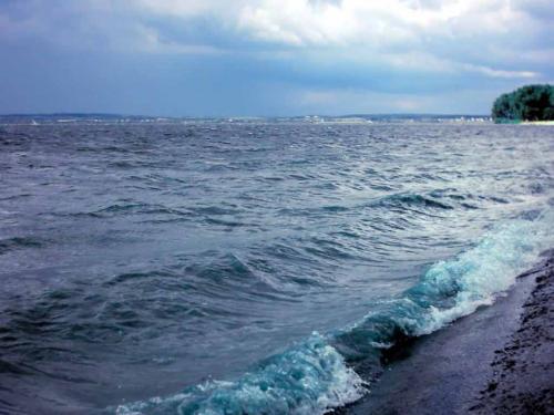 佳木斯新版，時(shí)代印記與變遷的見(jiàn)證者