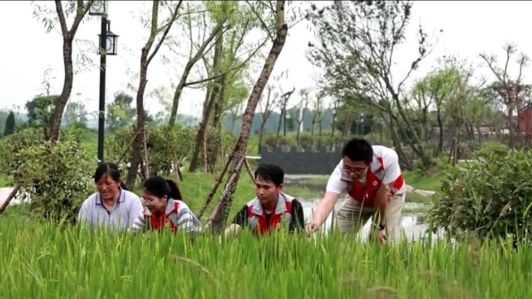 曲陽縣城最新招聘信息揭秘，小巷中的獨(dú)特小店等你來探索！