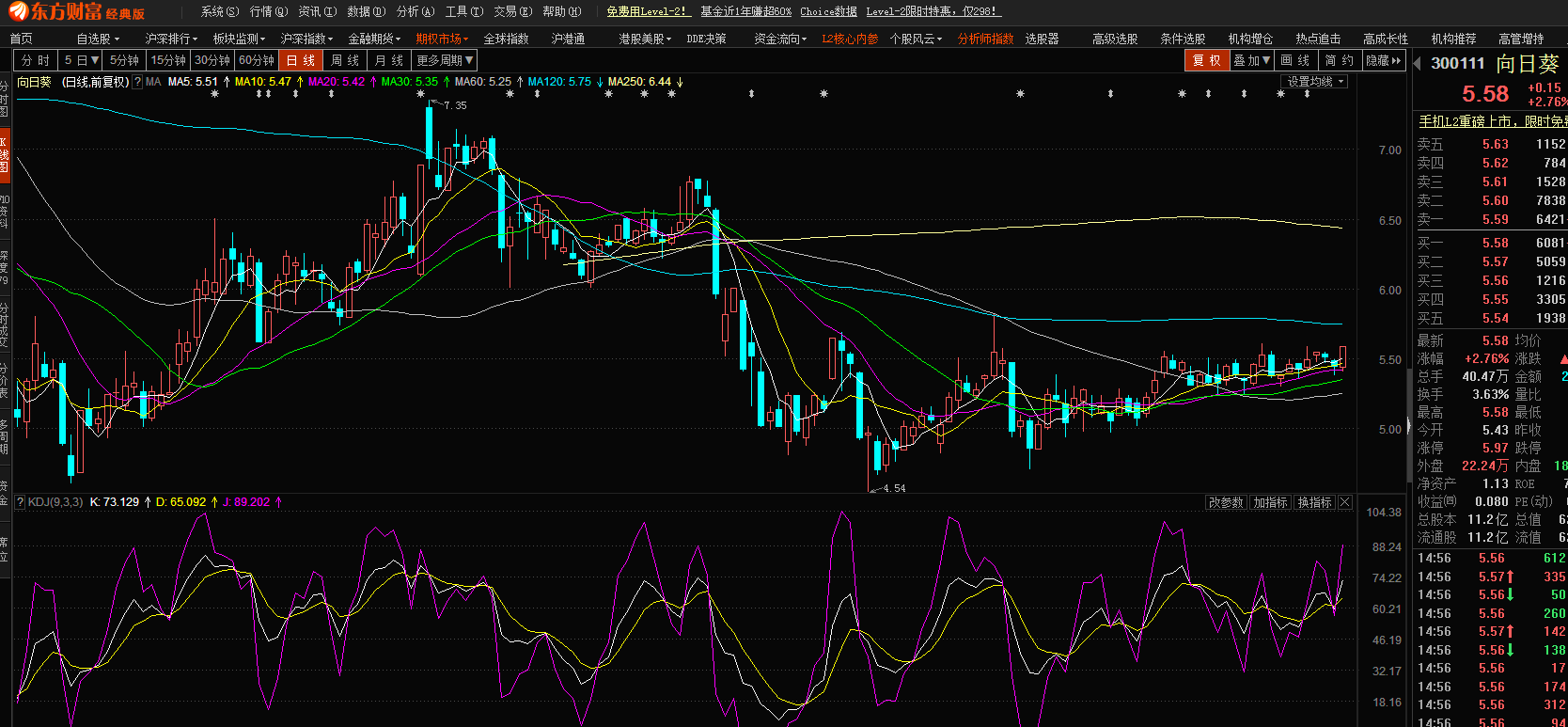 股市小天地，友情大天地——我與股票300141的日常故事分享