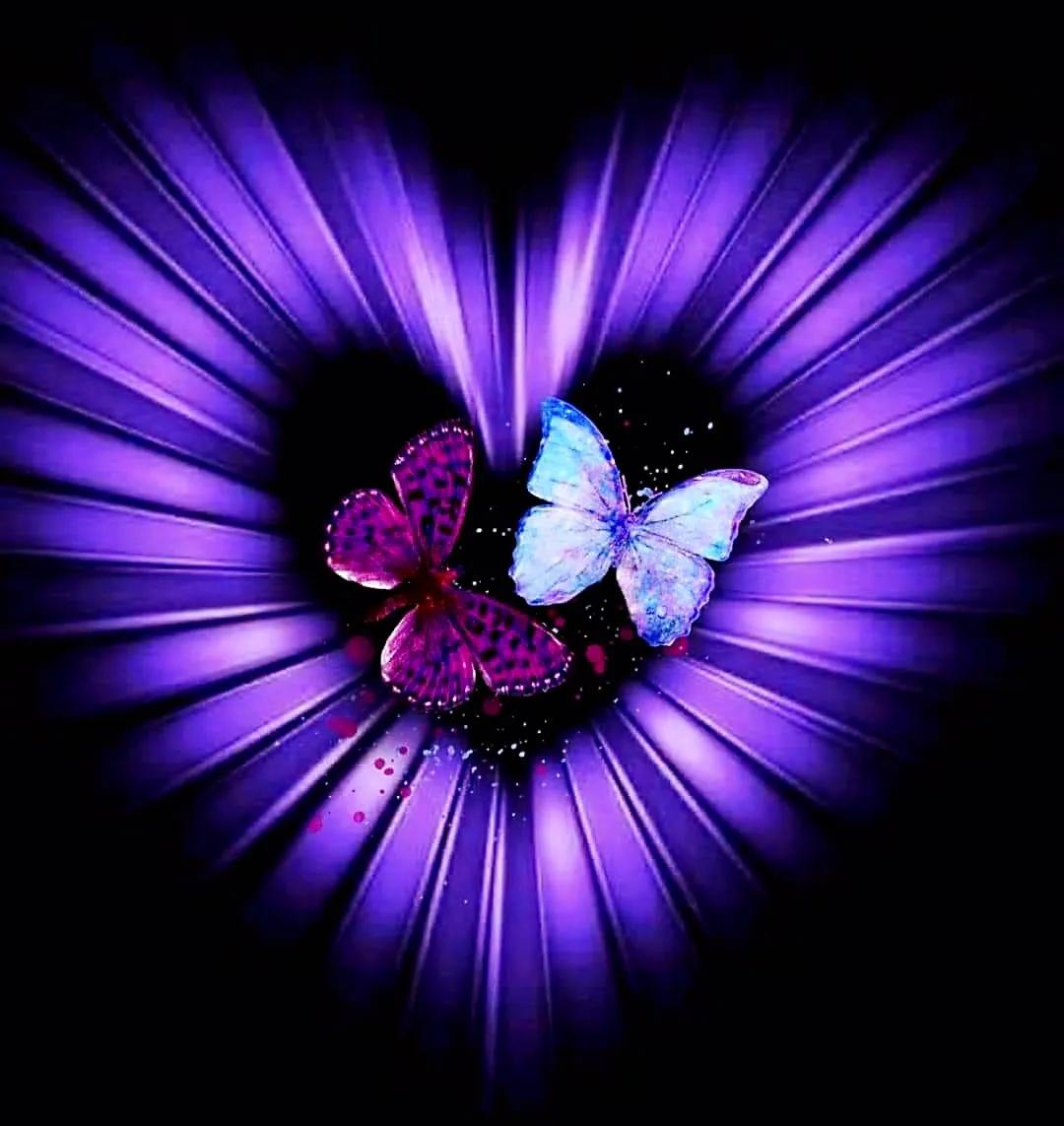 最新情感交流圈，學(xué)習(xí)、成長與自信的力量之源