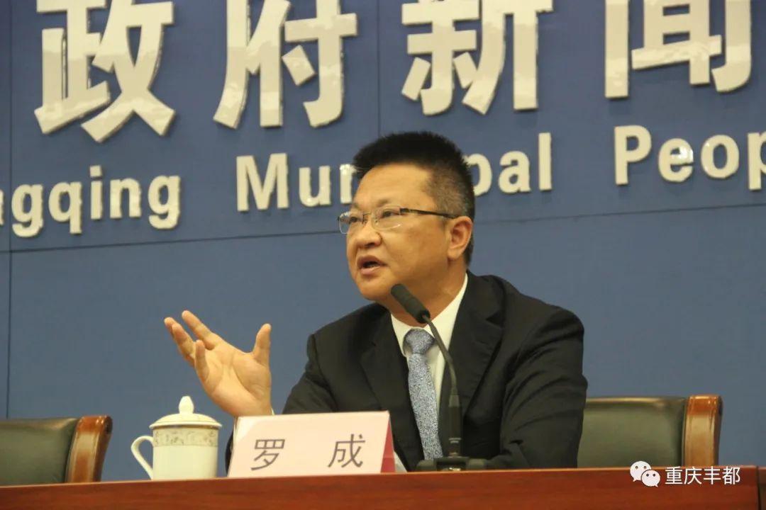 豐都新聞快訊，日常溫情與陪伴的瞬間