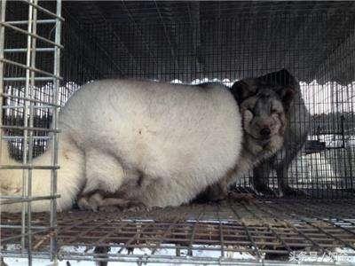 工程廠房燈具 第170頁