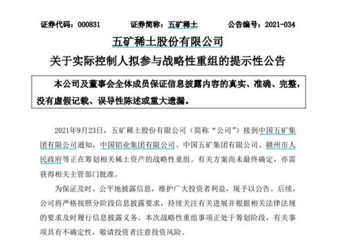 南方稀土股票，小巷中的隱秘寶藏，探索投資魅力的未知之旅