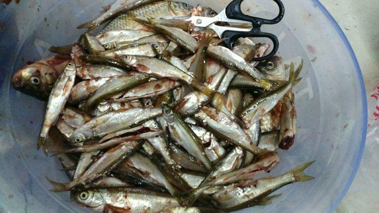 昆明最新野釣地點(diǎn)探索，重拾生活激情與自信的自然之旅