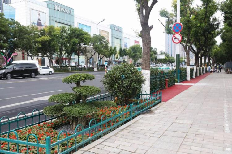 濰坊市奎文區(qū)改造工程，自然美景的探索之旅