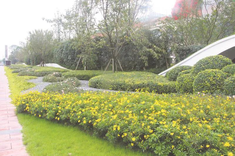 嬢王演員的自然之旅，邂逅美景，尋找內心平和之道