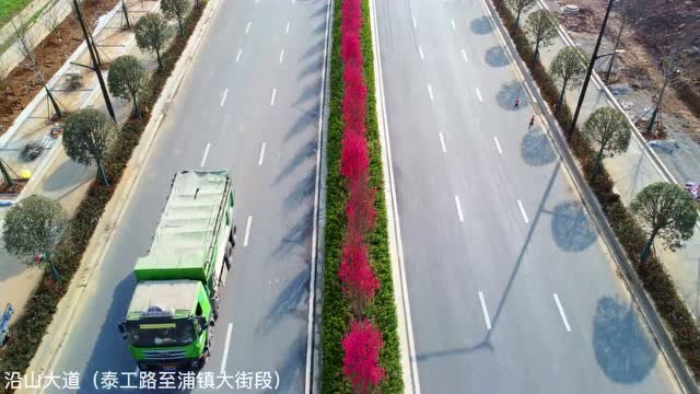 關(guān)花大道最新進(jìn)展，矚目盛景呈現(xiàn)！