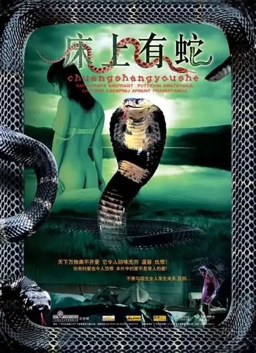 最新蛇片，蛻變的旅程，召喚自信與成就感的冒險(xiǎn)之旅