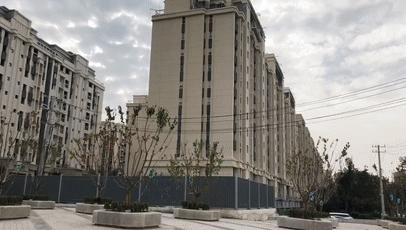 趙村最新動(dòng)態(tài)，鄉(xiāng)村振興新篇章開啟