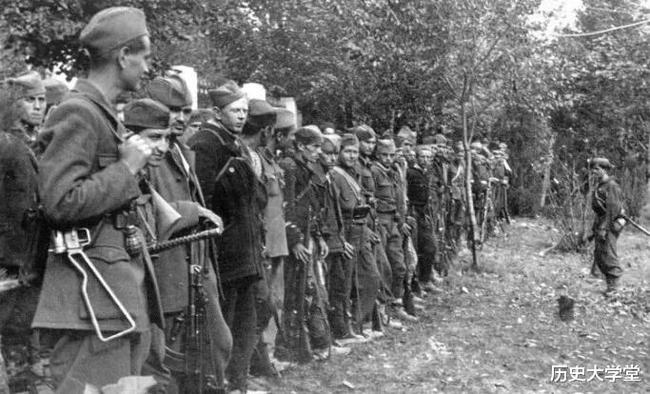 南斯拉夫電影二戰(zhàn)老片，自然美景背后的探索之旅