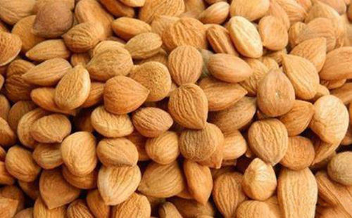 苦杏仁行情深度解析，背景、事件與地位探究