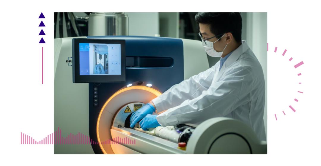 香港脊髓研究取得新進(jìn)展，探索自然美景的心靈之旅新篇章