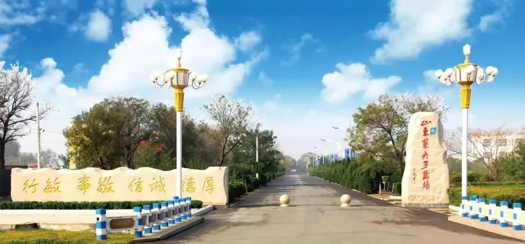 最新票據(jù)亂象調(diào)查步驟指南揭秘