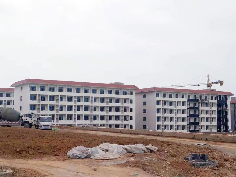 甘谷新聞，大石車禍最新進(jìn)展及觀點(diǎn)論述深度解析