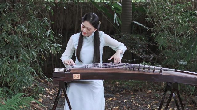 抖音最新琵琶演奏，古典與現(xiàn)代的完美融合之美