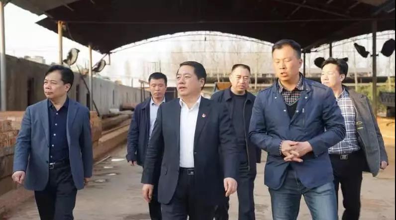 商丘王仲田最新動(dòng)態(tài)，探索自然美景的旅行，尋求內(nèi)心平和之旅