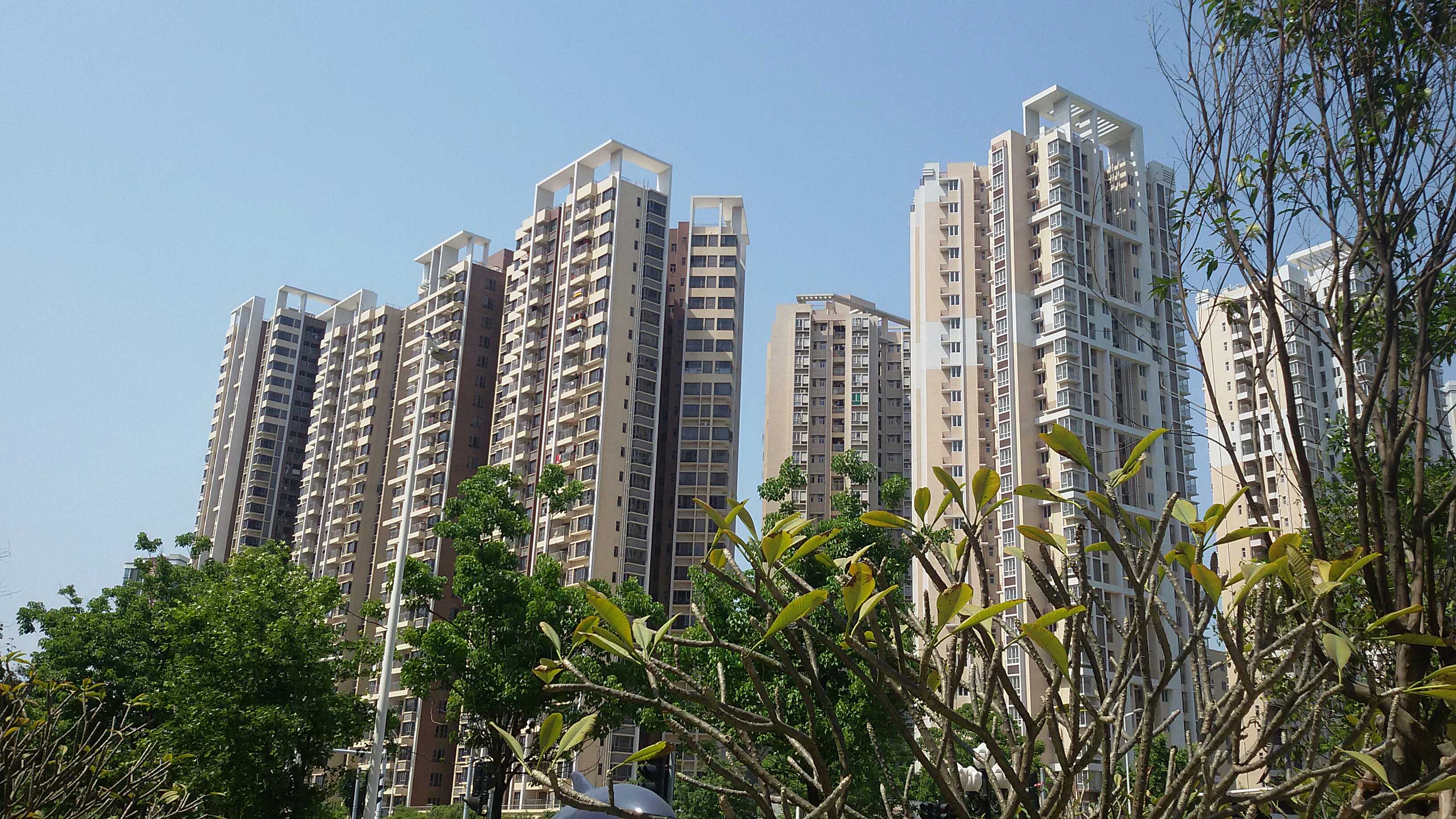 新建縣最新房產(chǎn)價(jià)格概覽及市場(chǎng)趨勢(shì)與前景展望