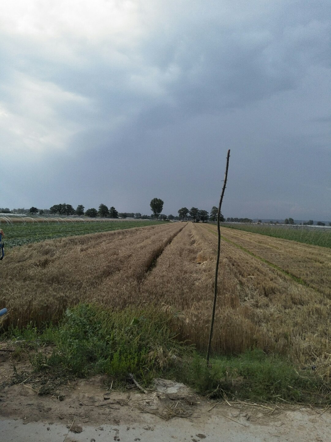 蒲城天氣預(yù)報，暖陽下的友情時光