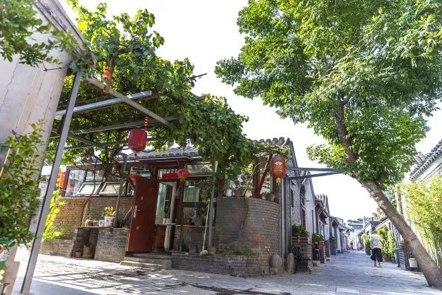 草社區(qū)美食探險之旅，探尋小巷中的隱藏寶藏與最新地址揭秘