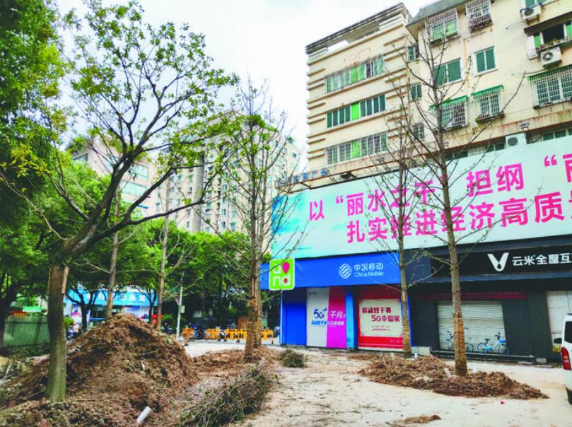 最新吊車網(wǎng)，自然美景之旅與內(nèi)心平靜的探尋