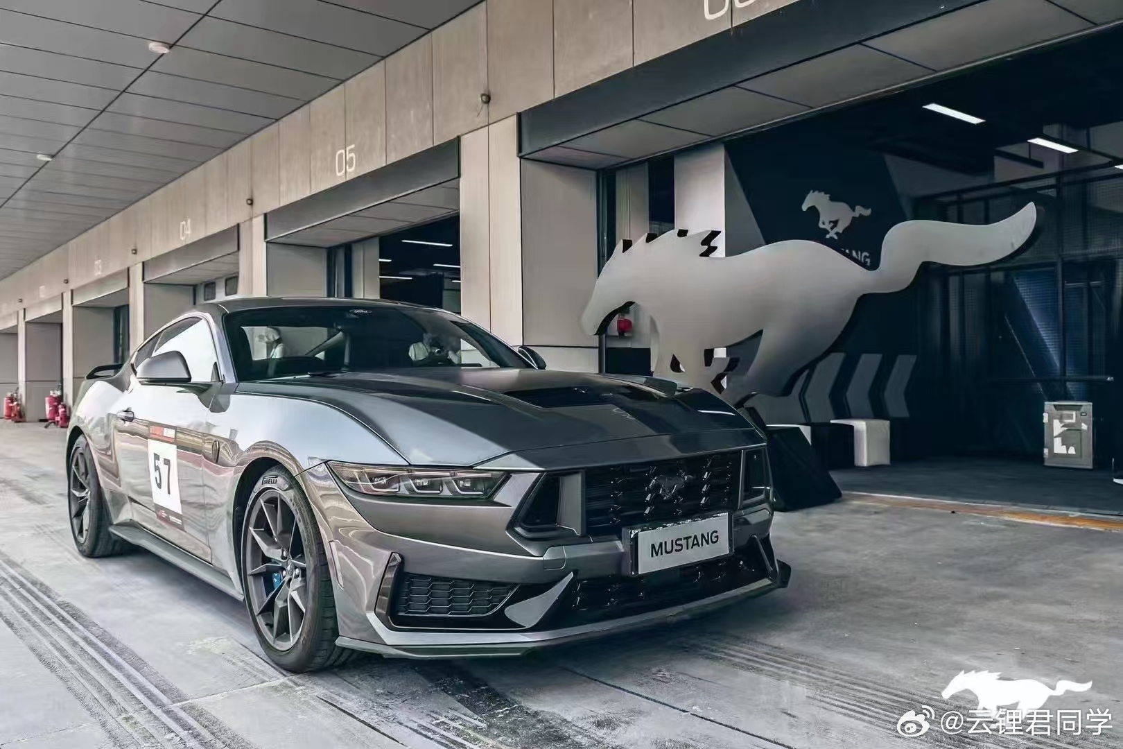 野馬擼最新動態(tài)，駕馭變化，自信成就夢想之旅