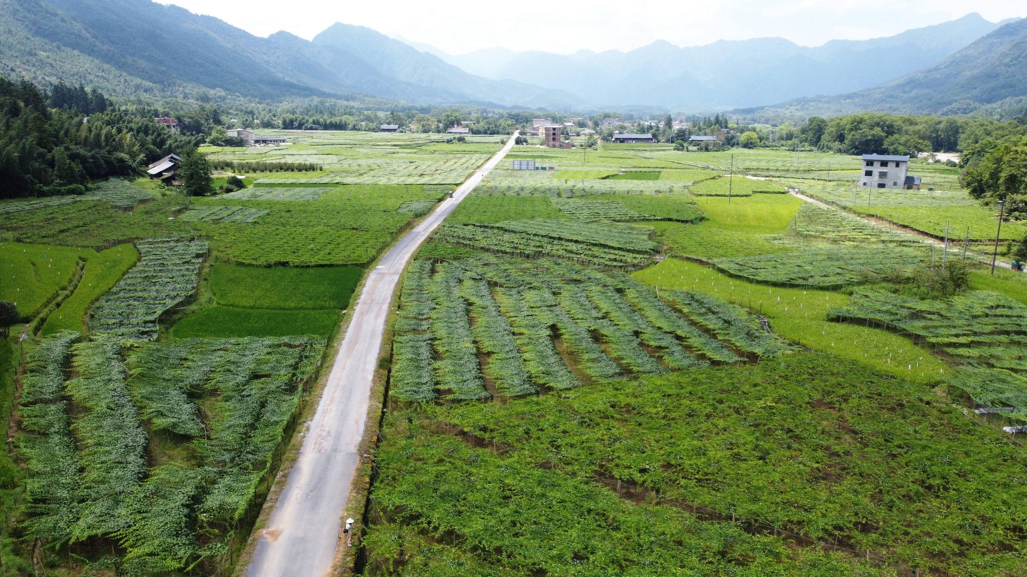 新文村，時代變遷下的文化繁榮與發(fā)展新篇章
