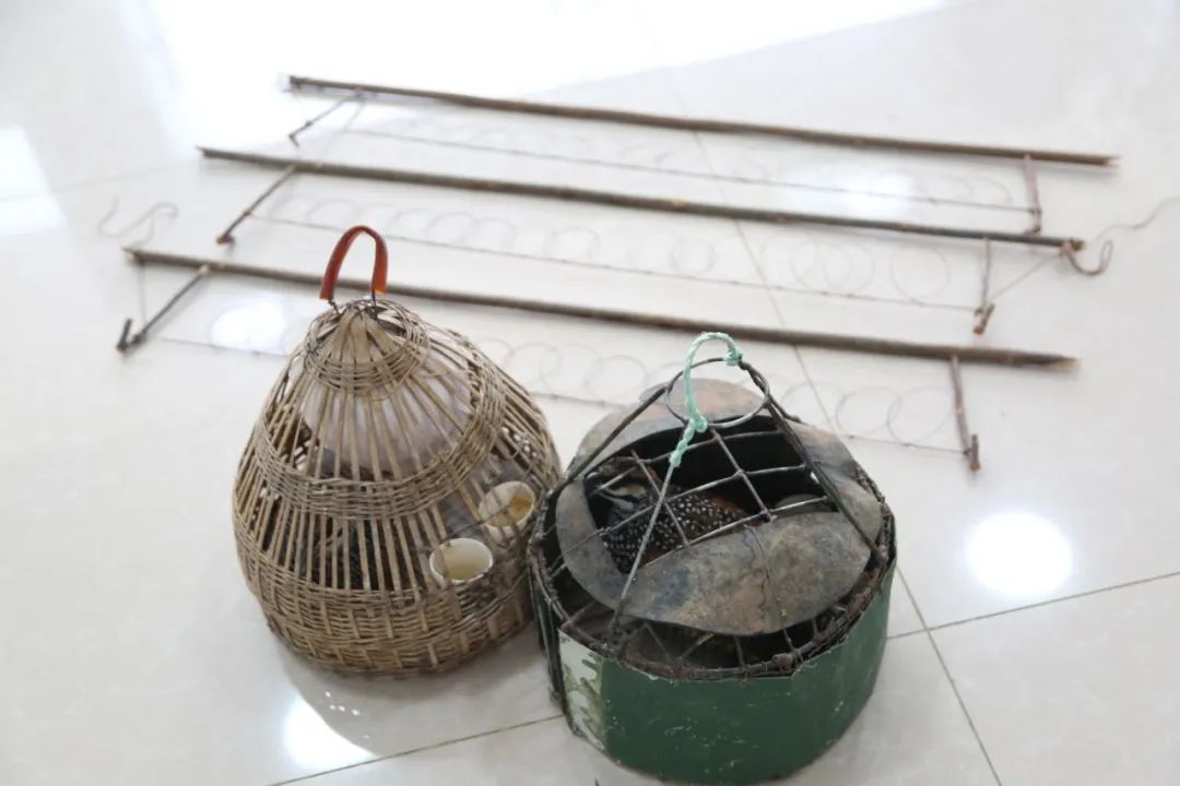 小巷中的神秘寶藏揭秘，最新捕鳥(niǎo)工具揭秘