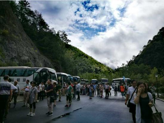 泰順高鐵最新動(dòng)態(tài)更新，最新消息一覽