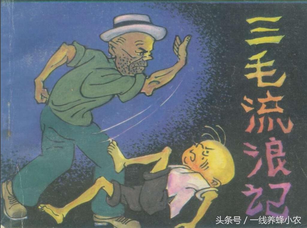 上海三毛最新動態(tài)，自然美景探索之旅啟幕