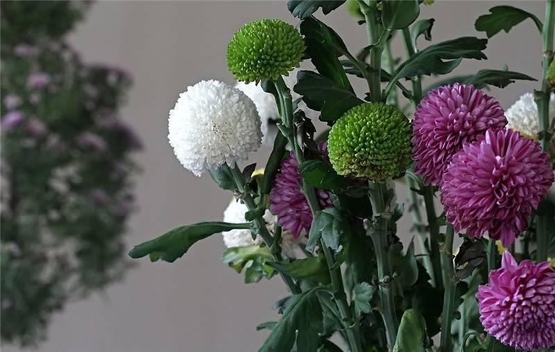 最新娛樂頭條，躍上成功舞臺的魔力之旅，自信與成就感的碰撞