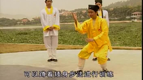 太極最新音樂，傳統(tǒng)與現(xiàn)代的完美融合藝術(shù)展現(xiàn)