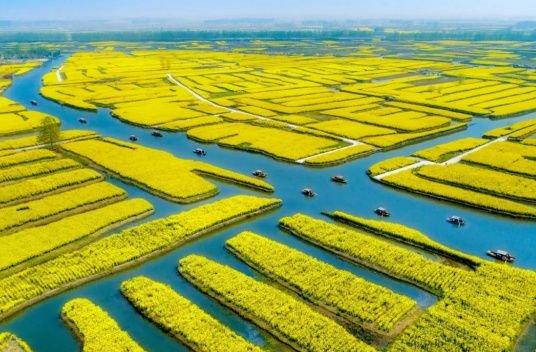 農(nóng)夫綜合最新動態(tài)深度解析與我的觀點(diǎn)分享