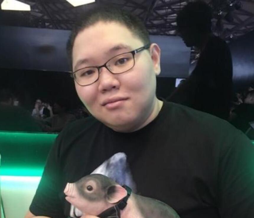 PDD最新直播視頻，直播界的璀璨明星閃耀時刻