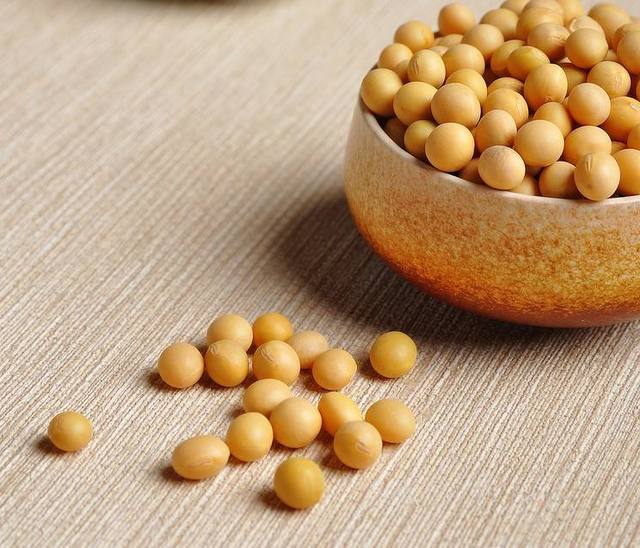 國(guó)產(chǎn)大豆最新價(jià)格，時(shí)代的變遷與影響