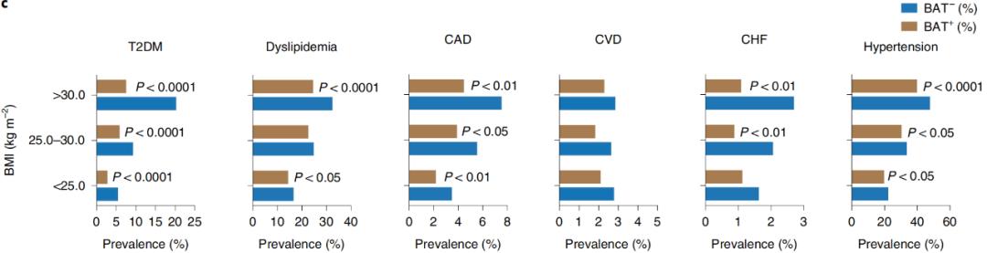 腦疾病最新研究，重塑大腦信心與成就感之路