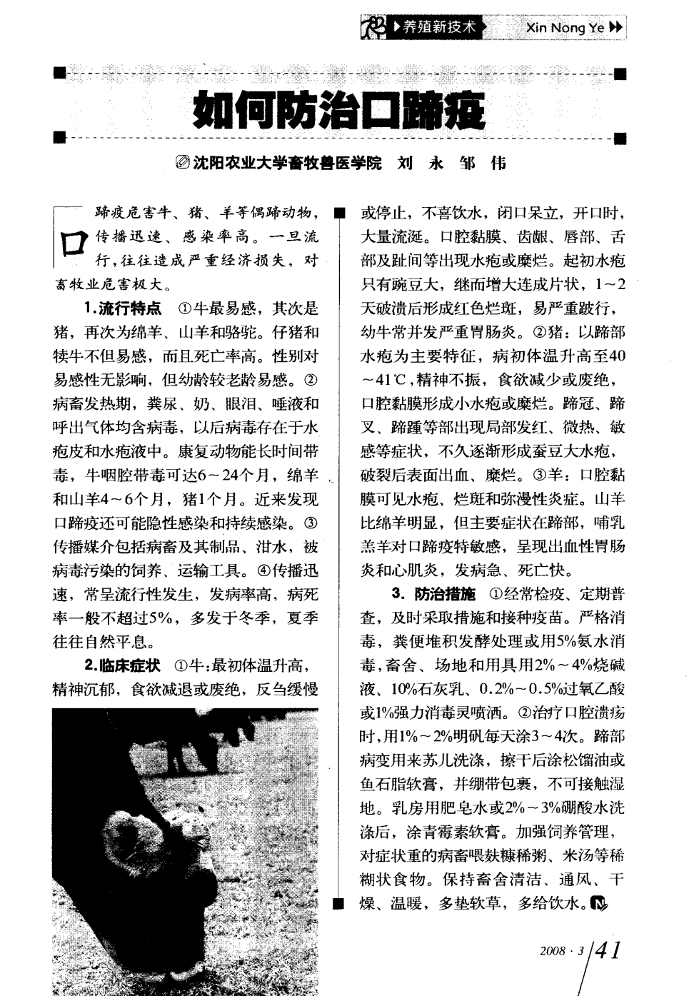 口蹄疫最新科研，自然探險(xiǎn)與內(nèi)心平和的追尋之旅