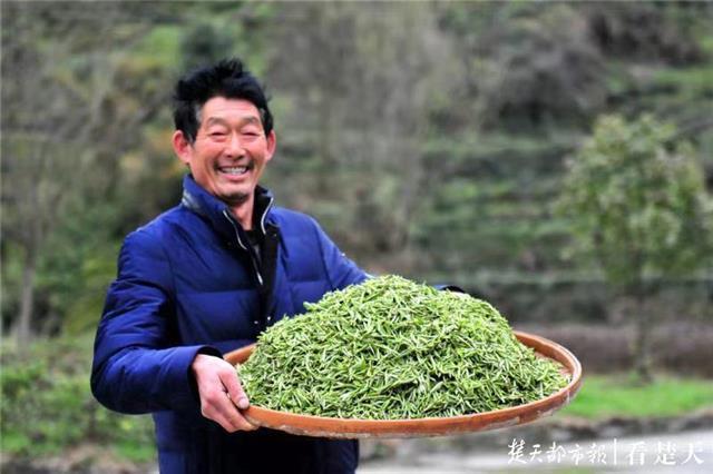 最新夷陵新聞，探索自然美景的旅程，尋覓內(nèi)心平和之地