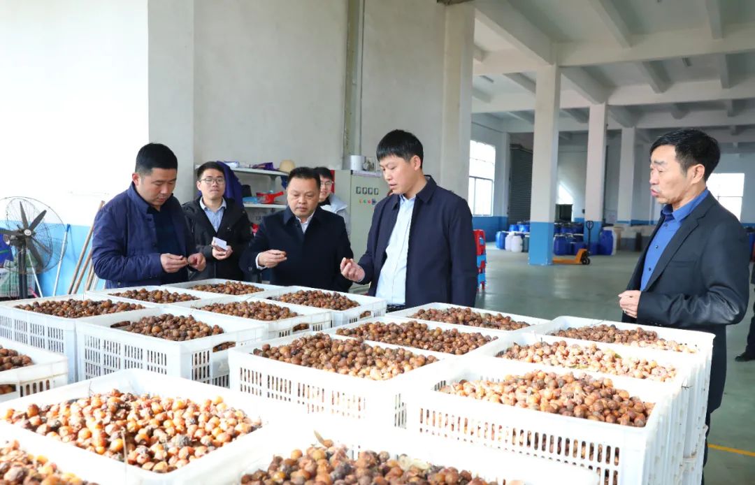 建寧最新新聞，城市溫馨日常與友情力量的展現(xiàn)