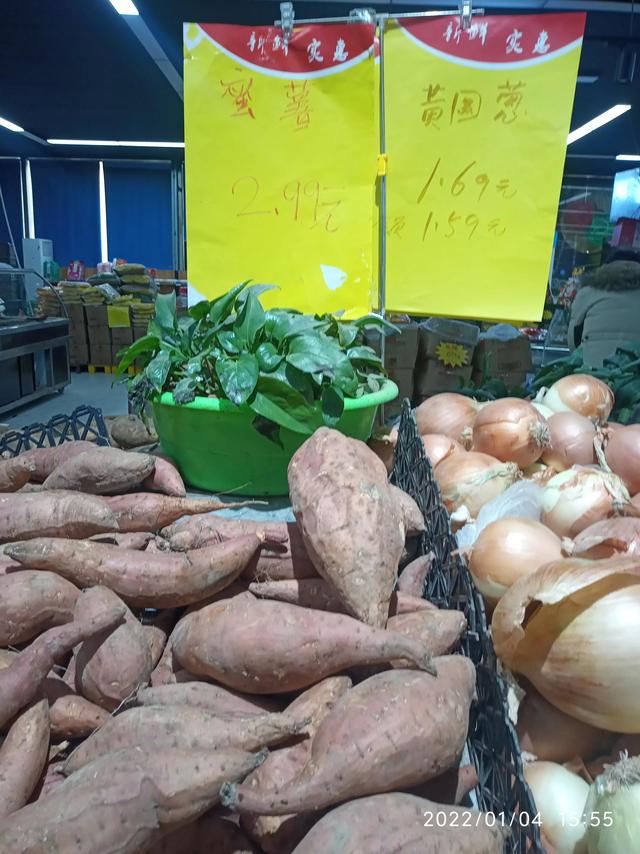 最新地瓜價格解析，查詢指南與任務(wù)攻略