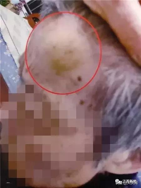 揪脖子最新視頻，探秘小巷風(fēng)情小店，獨(dú)家揭秘！