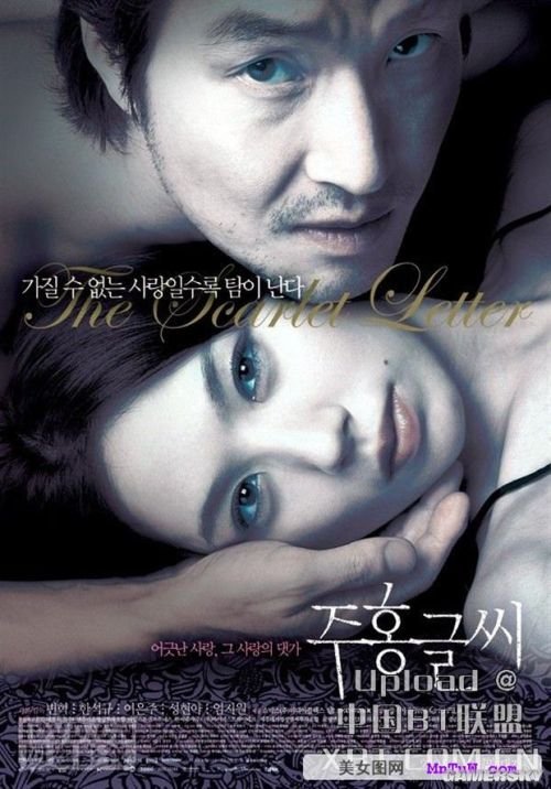 最新內(nèi)地倫理電影探索與啟示，揭示社會(huì)倫理的啟示與價(jià)值