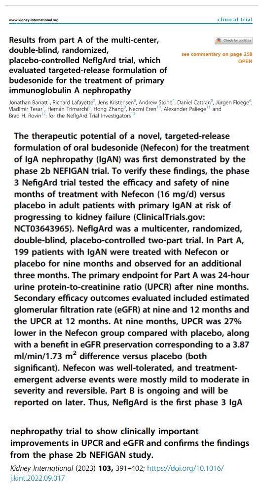 IGA腎病最新突破，醫(yī)學(xué)奇跡在小店中綻放的獨(dú)特魅力