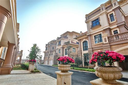 新泰最新樓盤，城市發(fā)展與居住品質(zhì)的新篇章