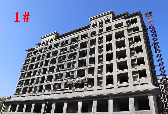 平輿最新樓盤市場現(xiàn)狀與前景展望，深度解析市場趨勢與發(fā)展前景展望