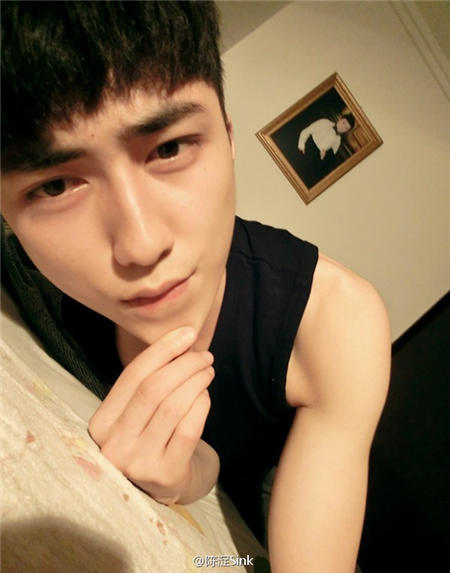 陳淀最新圖片，自然美景的探索之旅，尋覓內(nèi)心平和與喜悅的源泉