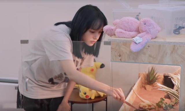 程瀟最新綜藝節(jié)目，心動瞬間，不容錯過！?