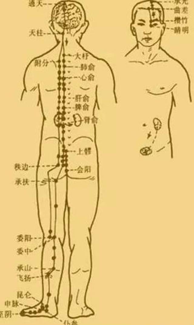 最新經(jīng)絡(luò)操，探索古老奧秘，重塑健康身姿