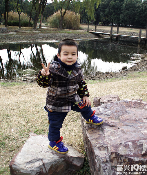 小六最新，時(shí)代背景下的重要印記與事件回顧