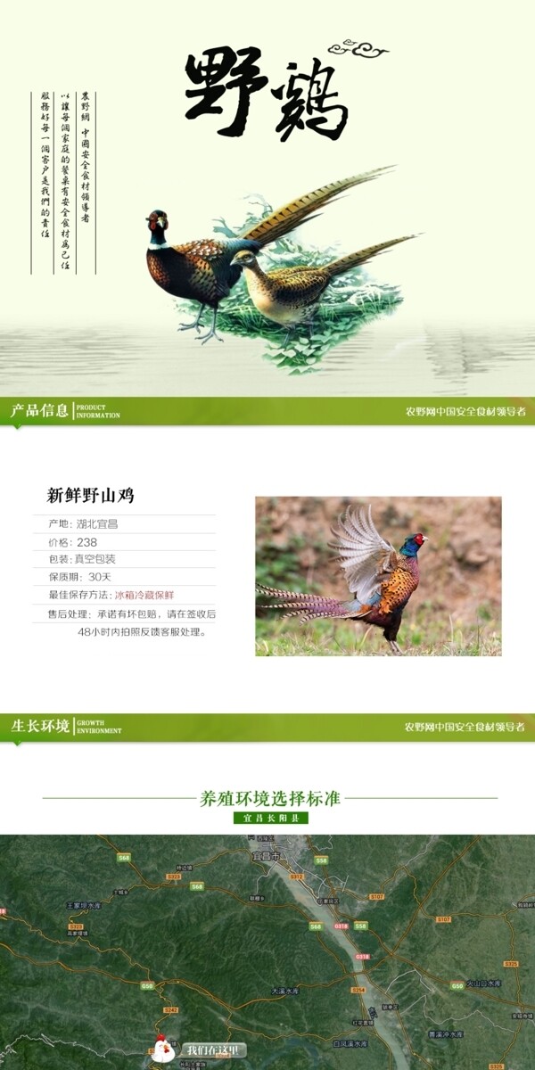 深度剖析，最新山雞的背景、事件與地位概述